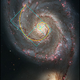 Illustration for article titled 15 Uncanny Examples of the Golden Ratio in Nature